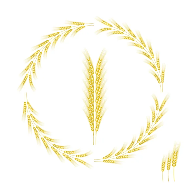 Icône de blé — Image vectorielle