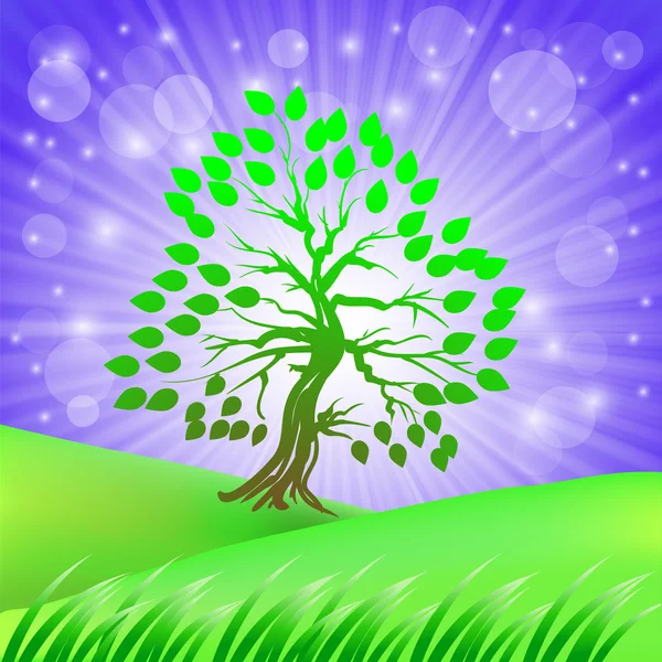 Árbol verde — Vector de stock