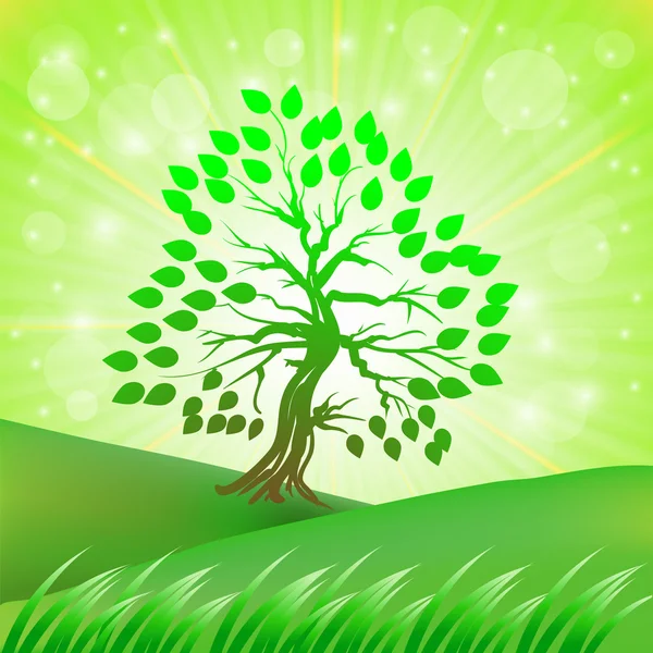 Зелене дерево — стоковий вектор