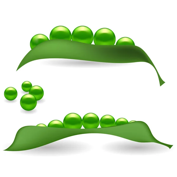 緑のエンドウ豆 — ストックベクタ