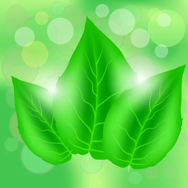 Зелене листя — стоковий вектор