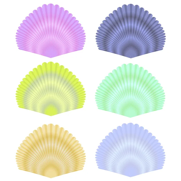 Colección Seashell — Vector de stock