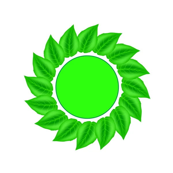 Yeşil yapraklar — Stok Vektör
