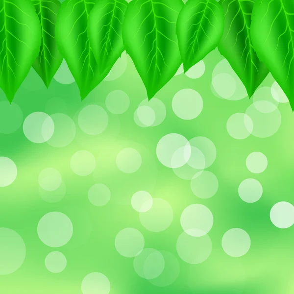 Modèle de feuilles — Image vectorielle