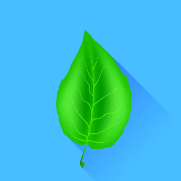 Liść zielony — Wektor stockowy