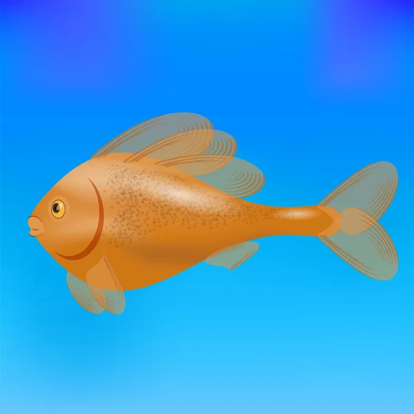 海の魚 — ストックベクタ