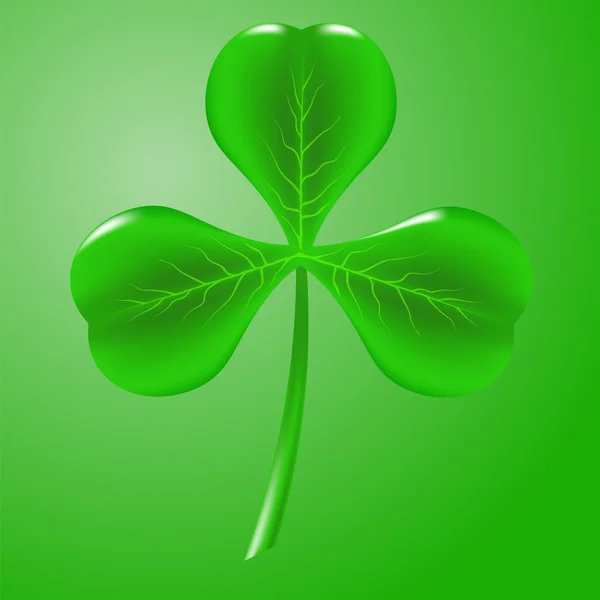 Shamrock — Stock Vector