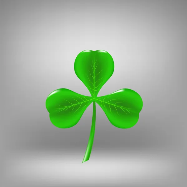 Green Leaf Clover — Stock Vector