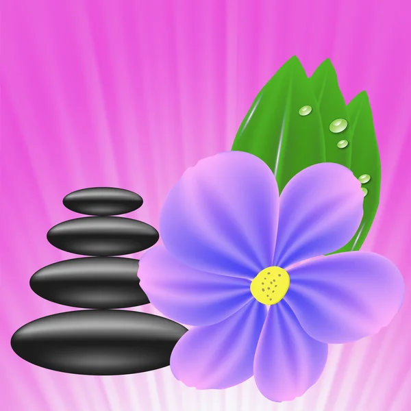 Piedras y flores — Vector de stock