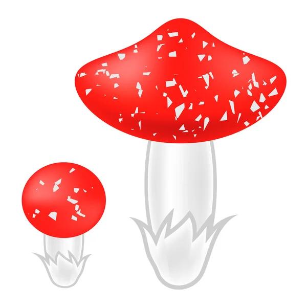 Funghi velenosi — Vettoriale Stock