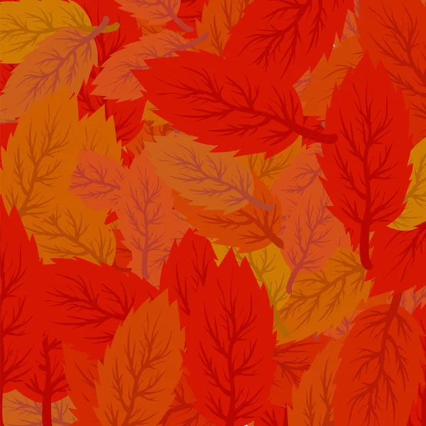 Feuilles d'automne fond. — Image vectorielle