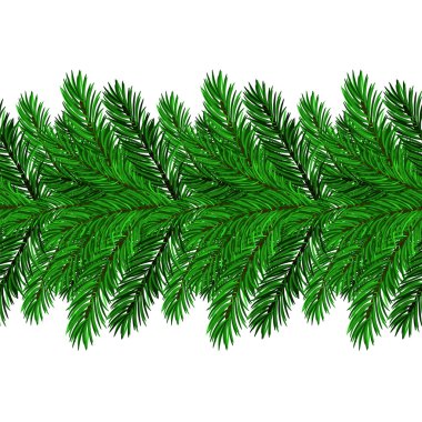 Köknar yeşil dallar