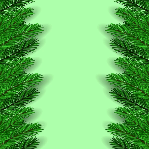 Groene fir takken — Stockvector