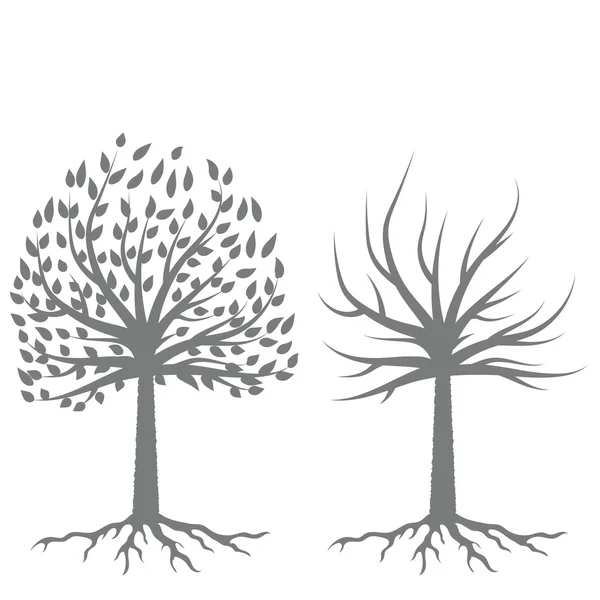 Two Trees Silhouettes — Stock Vector