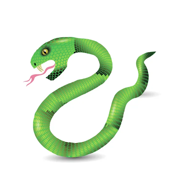 Kreslený zelených hadů — Stockový vektor