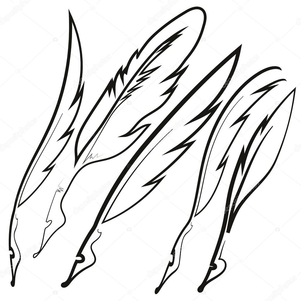 Set of Different Feathers Isolated on White Background