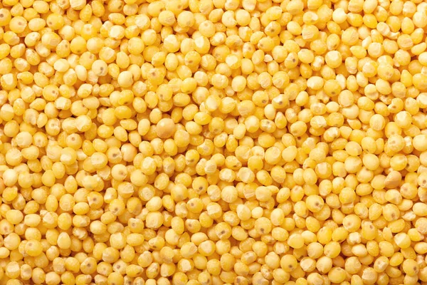 Uncooked millet background. Abstract food texture. Stock Image