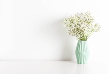 Beyaz çigila bebek nefesli çiçek açık yeşil seramik vazoda beyaz duvar zemininde.