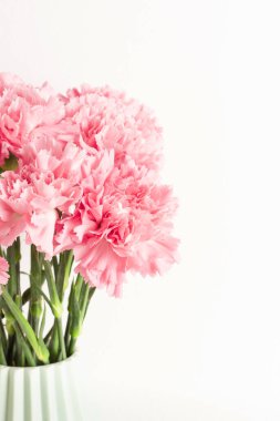 Beyaz arkaplanda açık yeşil seramik vazoda pembe karanfil..