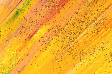 Parlak soyut boyalı arkaplan.