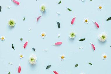 Çiçek desenli arka plan. Çiçekler, yapraklar açık mavi arkaplanda.