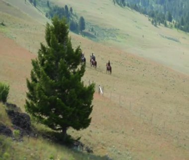 Dağın kovboyların