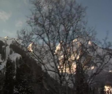 Ağaçlar ile karlı dağlar