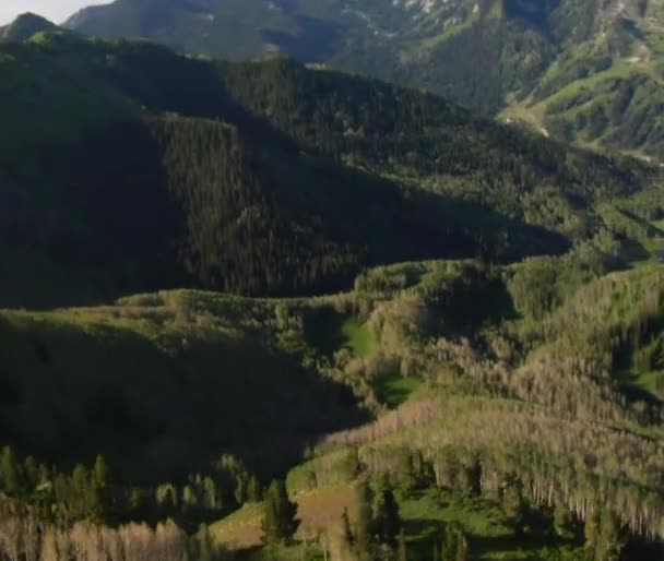 Лес и горы со следами — стоковое видео