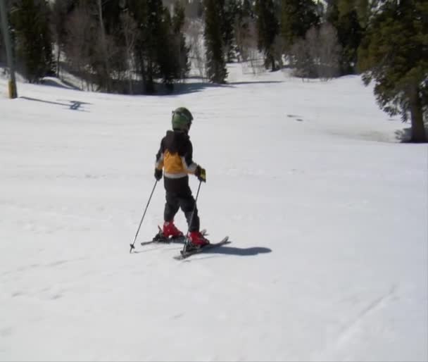 Маленькие дети катаются на лыжах — стоковое видео
