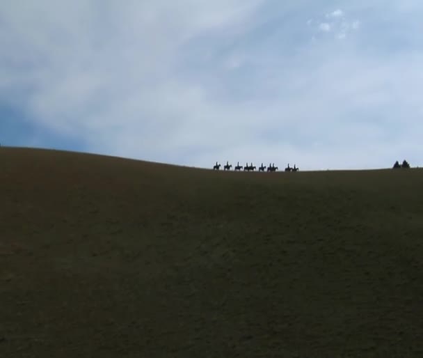 Cowboys silhouetten op Ridge — Stockvideo