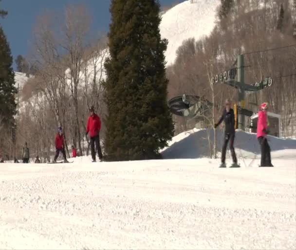 Family skis down a bunny hill — Stock Video