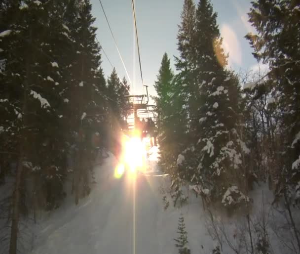 Soleil à travers les pins sur le télésiège levant — Video