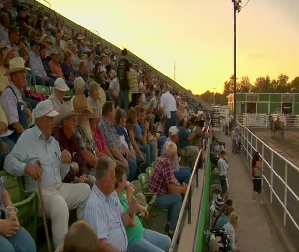 Crowd watches draft horse competition — Stock Video