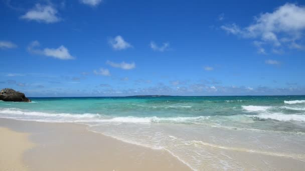 Schöner strand in okinawa — Stockvideo