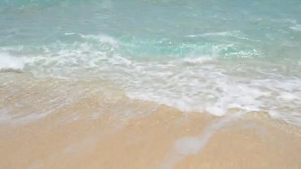 Beautiful beach in Okinawa — Stock Video