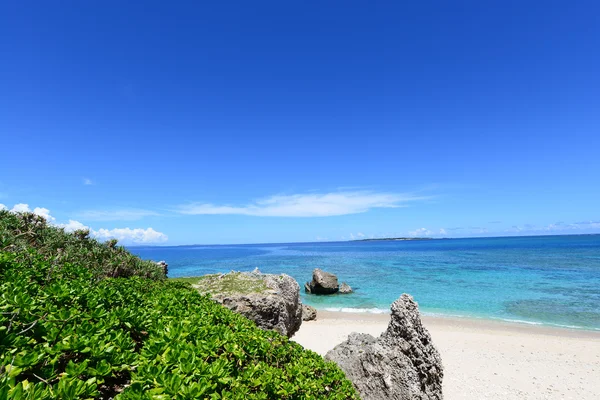 Prachtig strand in de zomer — Stockfoto