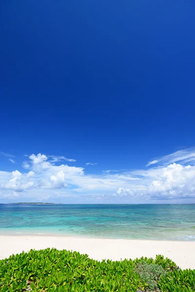 Голубое море и небо на Окинаве — стоковое фото