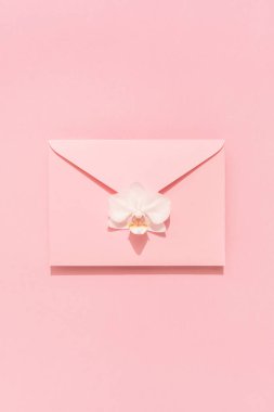 Pembe arka planda orkide çiçeği ve pembe zarf, tebrik kartı..