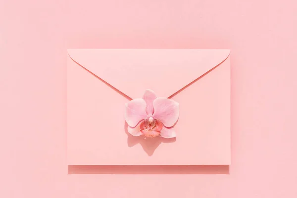 Orchid flower on pink envelope against pink background, congratulation card. Stock Image