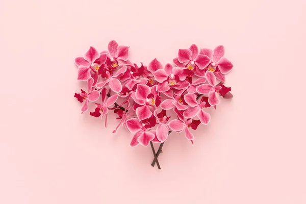 Orchid flowers bouquet in heart shape on pink Valentines day background. Royalty Free Stock Photos