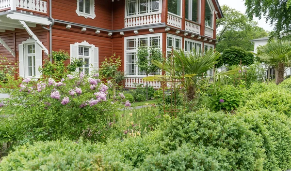 아름 다운 정원 — 스톡 사진