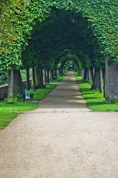 In het park — Stockfoto