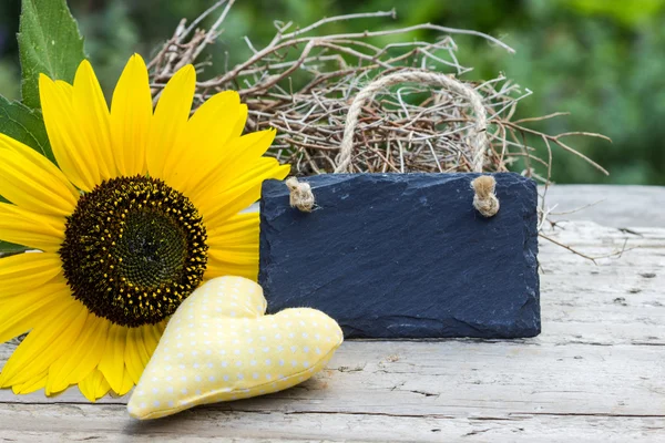 Sunflower — Stock Photo, Image