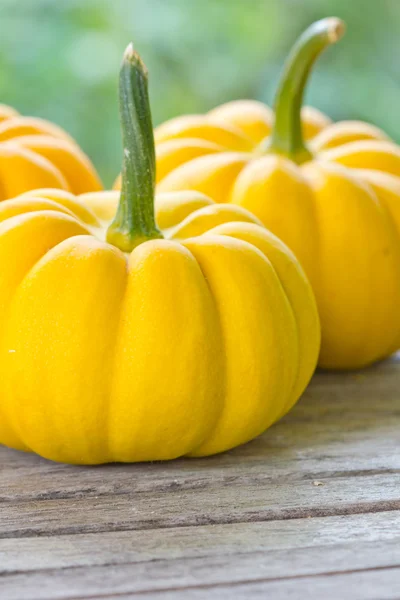 Calabazas — Foto de Stock