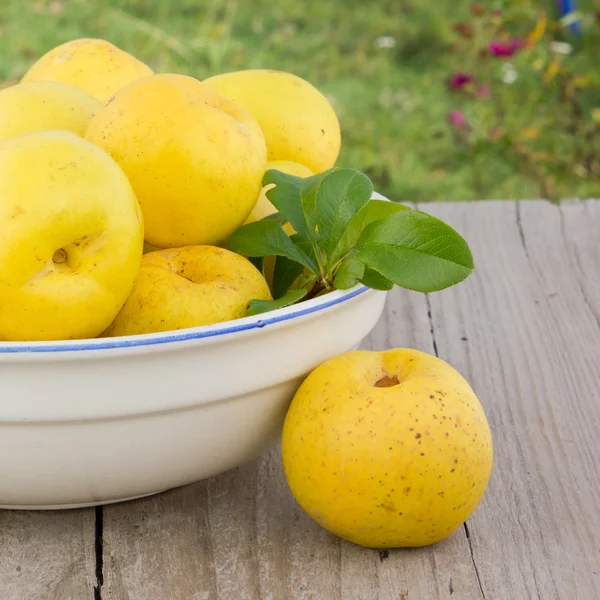 Quince. — Foto de Stock