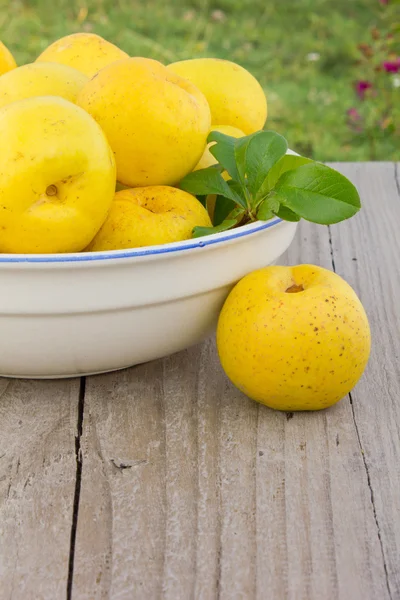 Quince. — Foto de Stock