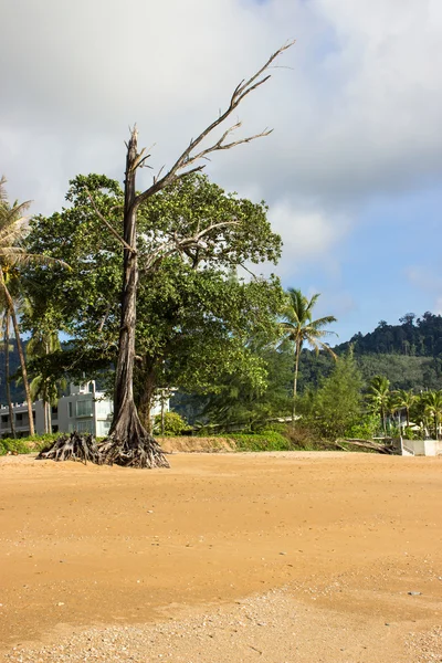 Beach — Stock Photo, Image