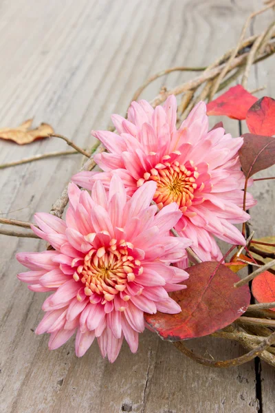 Herfst bloemen — Stockfoto
