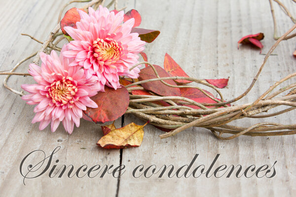 Sincères condoléances — Photo