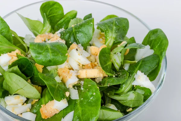 Lambs lettuce — Stock Photo, Image